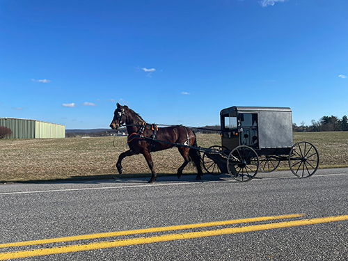 horse and buggy